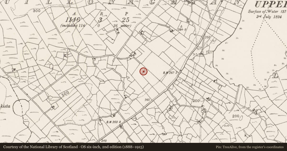 Ordnance Survey six-inch map, 2nd edition (1888–1915) covering the location of Children's burial ground, Cuillonaghtan, County Mayo, with a pin at the register's coordinates