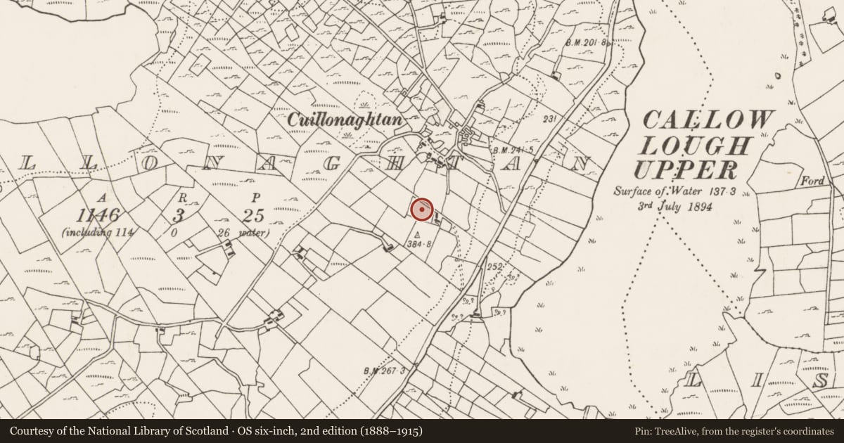 Ordnance Survey six-inch map, 2nd edition (1888–1915) covering the location of Ringfort - cashel, Cuillonaghtan, County Mayo, with a pin at the register's coordinates