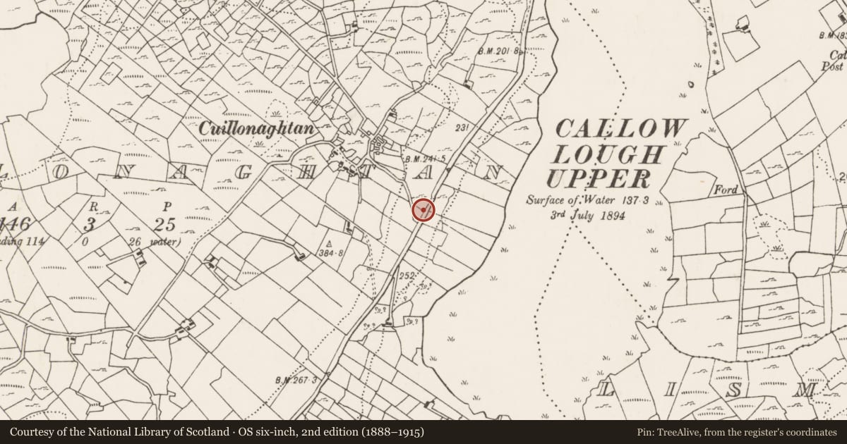 Ordnance Survey six-inch map, 2nd edition (1888–1915) covering the location of Bullaun stone, Cuillonaghtan, County Mayo, with a pin at the register's coordinates