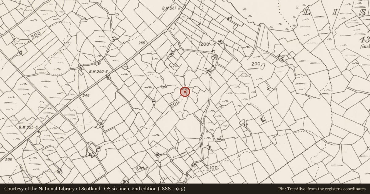 Ordnance Survey six-inch map, 2nd edition (1888–1915) covering the location of Ringfort - cashel, Cuillonaghtan, County Mayo, with a pin at the register's coordinates
