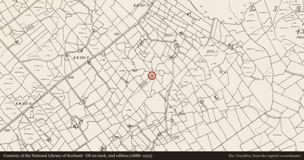Ordnance Survey six-inch map, 2nd edition (1888–1915) covering the location of Souterrain, Cuillonaghtan, County Mayo, with a pin at the register's coordinates