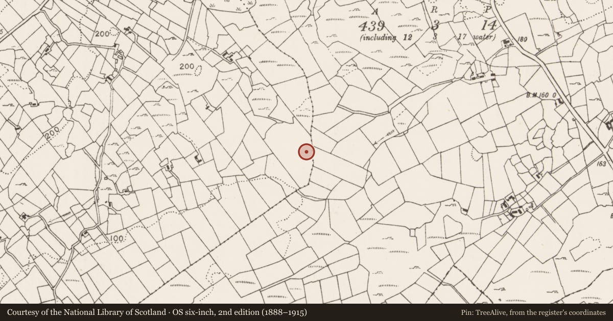 Ordnance Survey six-inch map, 2nd edition (1888–1915) covering the location of Ringfort - unclassified, Cuillonaghtan, County Mayo, with a pin at the register's coordinates