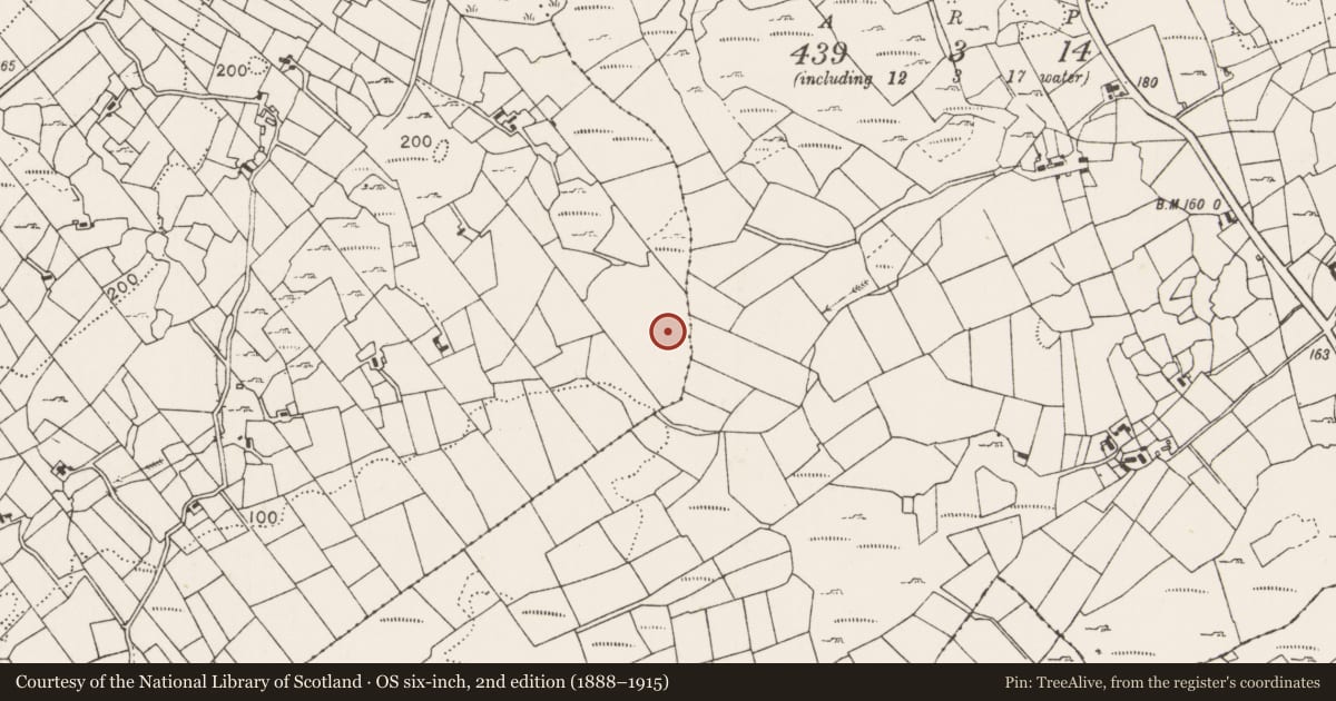 Ordnance Survey six-inch map, 2nd edition (1888–1915) covering the location of Souterrain, Cuillonaghtan, County Mayo, with a pin at the register's coordinates