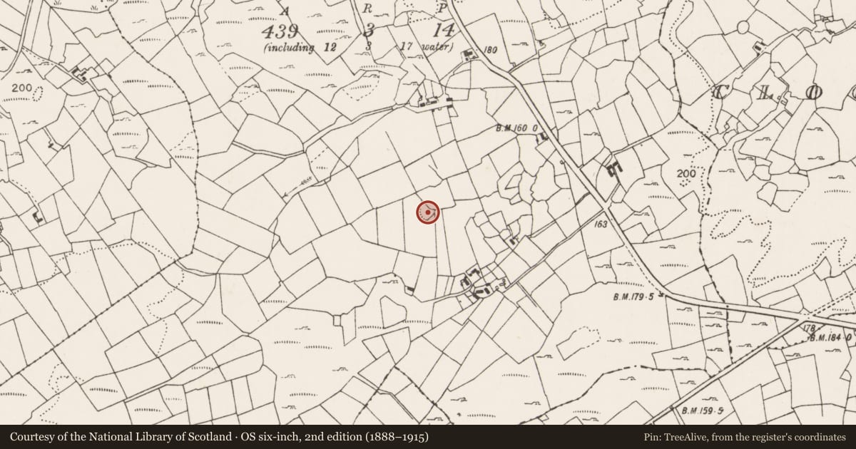 Ordnance Survey six-inch map, 2nd edition (1888–1915) covering the location of Enclosure, Lismoran, County Mayo, with a pin at the register's coordinates