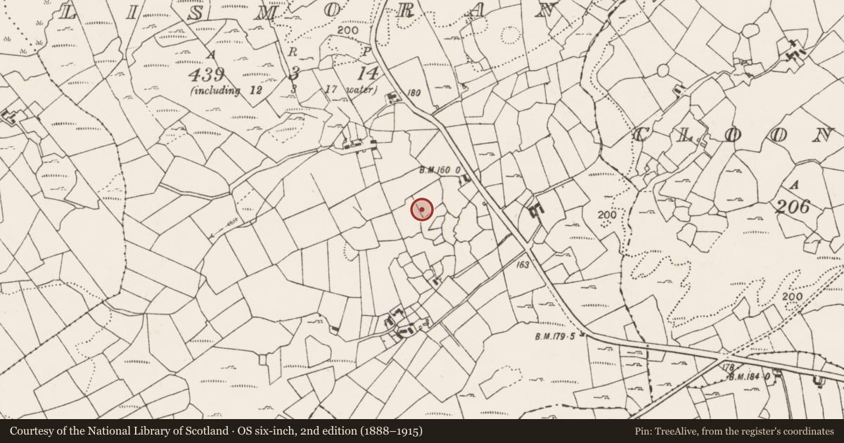 Ordnance Survey six-inch map, 2nd edition (1888–1915) covering the location of Enclosure, Lismoran, County Mayo, with a pin at the register's coordinates