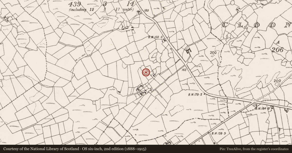 Ordnance Survey six-inch map, 2nd edition (1888–1915) covering the location of Ringfort - cashel, Lismoran, County Mayo, with a pin at the register's coordinates