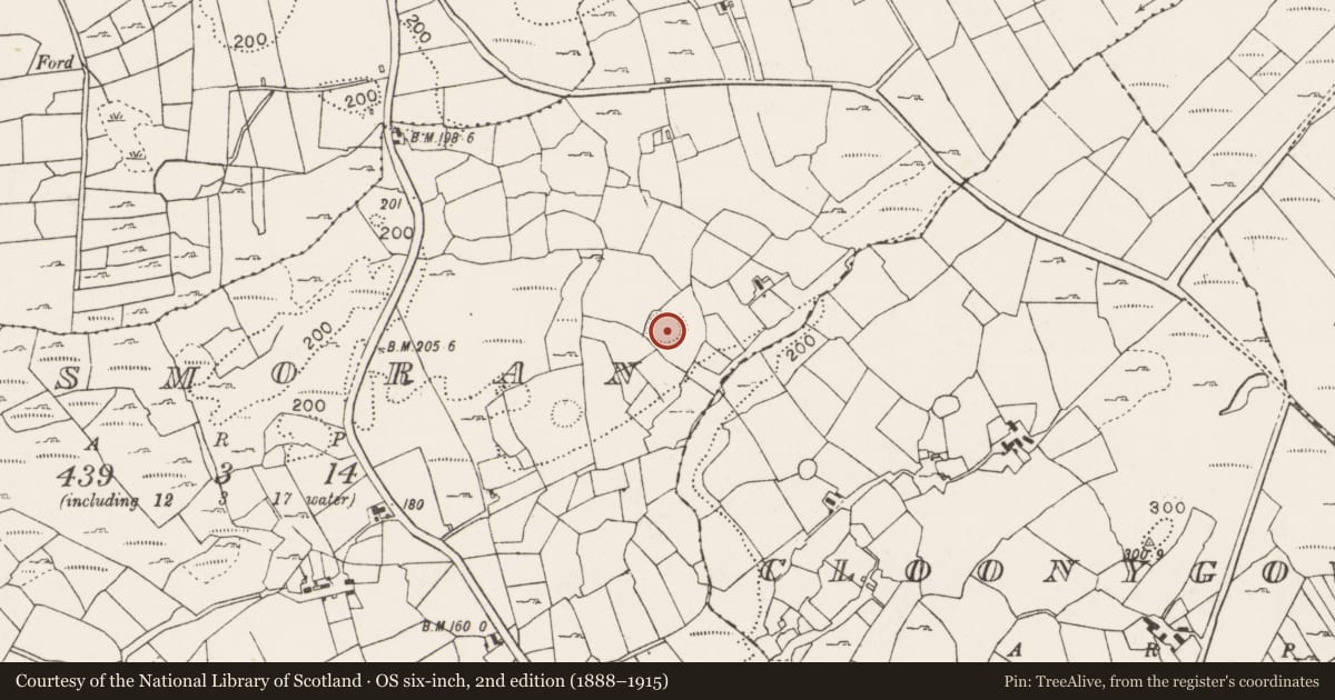 Ordnance Survey six-inch map, 2nd edition (1888–1915) covering the location of Ringfort - rath, Lismoran, County Mayo, with a pin at the register's coordinates