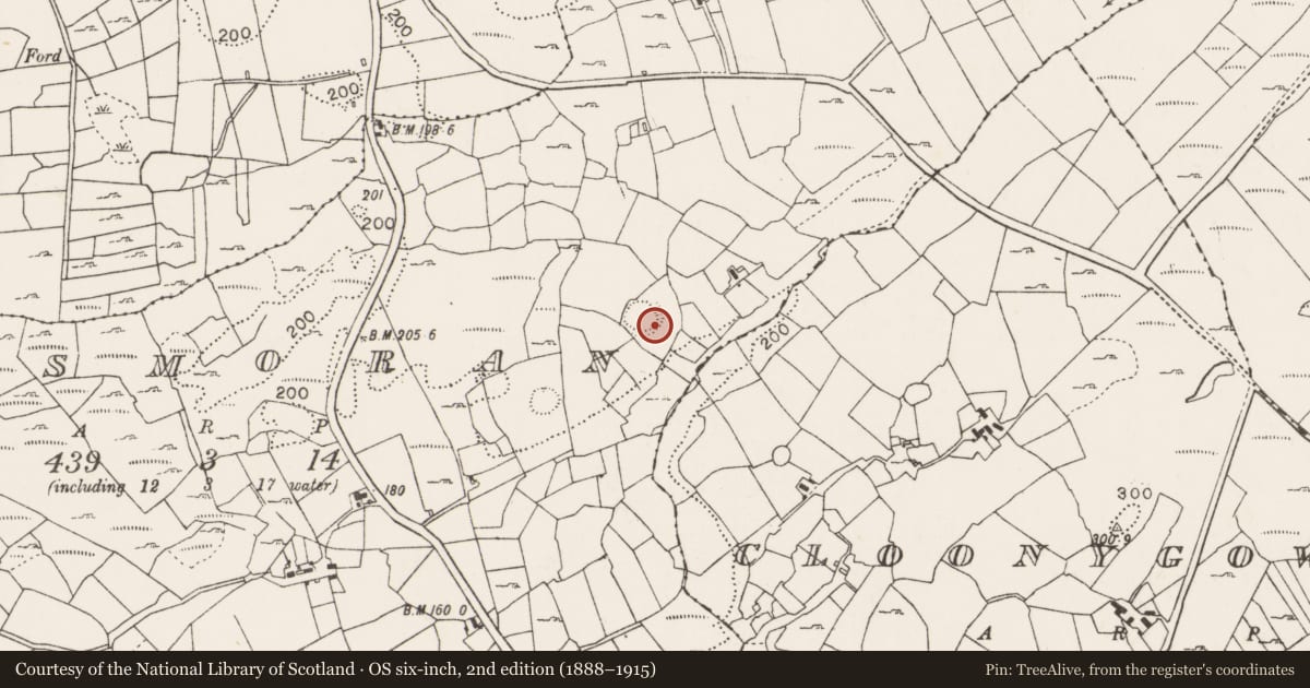 Ordnance Survey six-inch map, 2nd edition (1888–1915) covering the location of Bullaun stone, Lismoran, County Mayo, with a pin at the register's coordinates