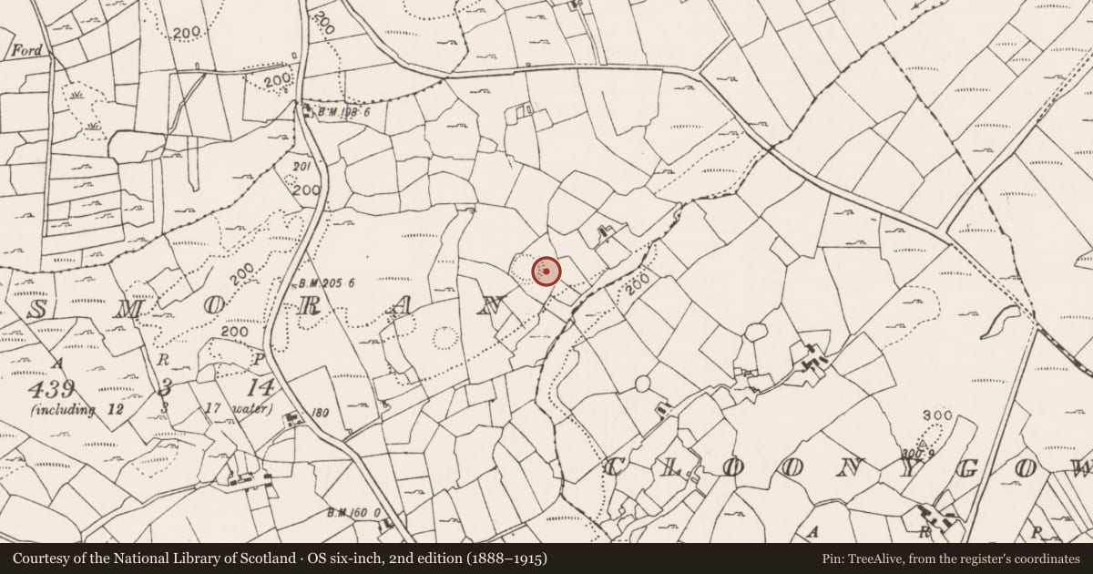 Ordnance Survey six-inch map, 2nd edition (1888–1915) covering the location of Bullaun stone, Lismoran, County Mayo, with a pin at the register's coordinates