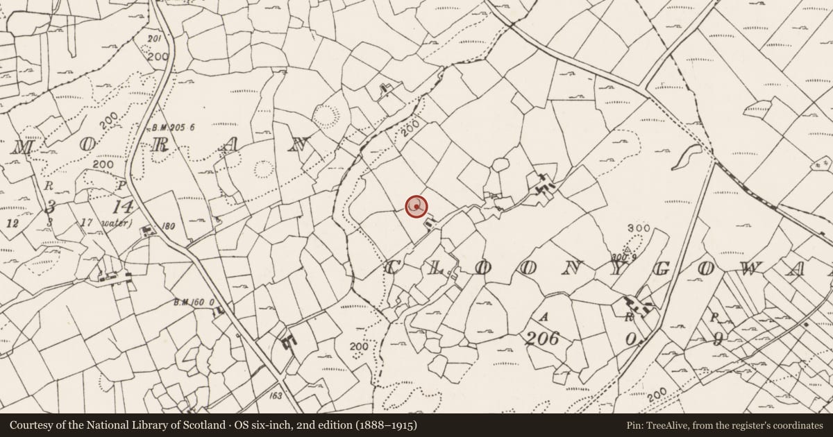Ordnance Survey six-inch map, 2nd edition (1888–1915) covering the location of Enclosure, Cloonygowan, County Mayo, with a pin at the register's coordinates