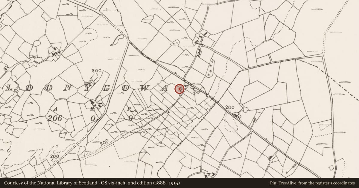 Ordnance Survey six-inch map, 2nd edition (1888–1915) covering the location of Enclosure, Cloonygowan, County Mayo, with a pin at the register's coordinates