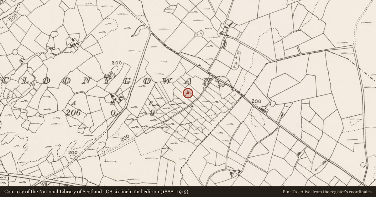 Ordnance Survey six-inch map, 2nd edition (1888–1915) covering the location of Megalithic tomb - unclassified, Cloonygowan, County Mayo, with a pin at the register's coordinates
