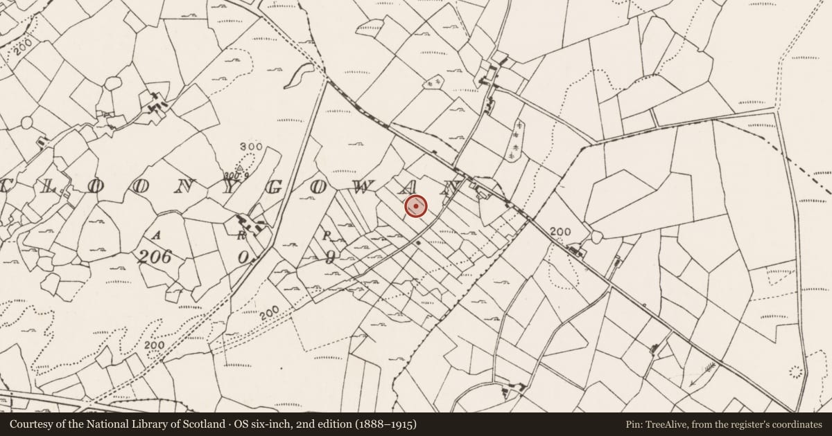 Ordnance Survey six-inch map, 2nd edition (1888–1915) covering the location of Standing stone, Cloonygowan, County Mayo, with a pin at the register's coordinates