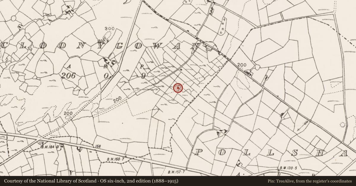 Ordnance Survey six-inch map, 2nd edition (1888–1915) covering the location of Ringfort - cashel, Cloonygowan, County Mayo, with a pin at the register's coordinates