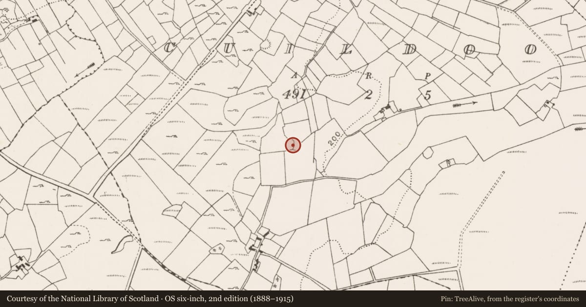 Ordnance Survey six-inch map, 2nd edition (1888–1915) covering the location of Ringfort - cashel, Cuildoo, County Mayo, with a pin at the register's coordinates