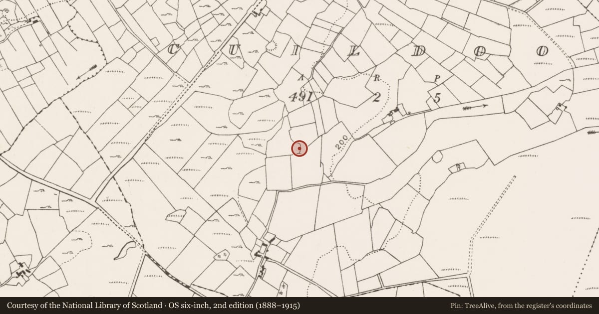 Ordnance Survey six-inch map, 2nd edition (1888–1915) covering the location of Souterrain, Cuildoo, County Mayo, with a pin at the register's coordinates