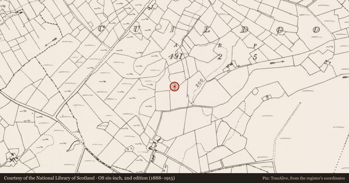 Ordnance Survey six-inch map, 2nd edition (1888–1915) covering the location of House - indeterminate date, Cuildoo, County Mayo, with a pin at the register's coordinates