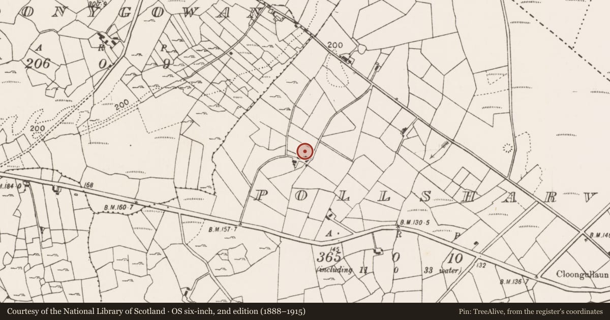 Ordnance Survey six-inch map, 2nd edition (1888–1915) covering the location of Sundial, Pollsharvoge, County Mayo, with a pin at the register's coordinates