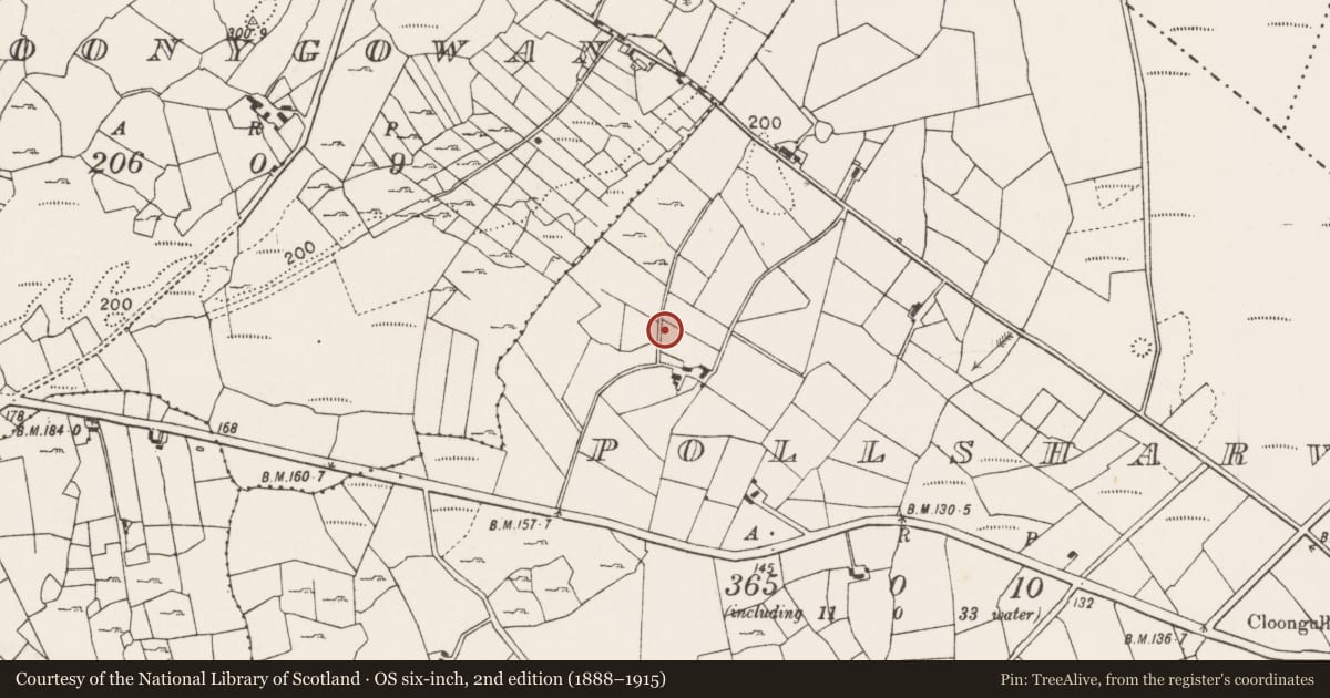 Ordnance Survey six-inch map, 2nd edition (1888–1915) covering the location of Bullaun stone, Pollsharvoge, County Mayo, with a pin at the register's coordinates