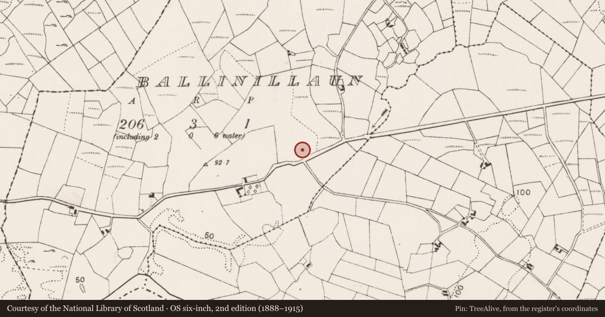Ordnance Survey six-inch map, 2nd edition (1888–1915) covering the location of Megalithic tomb - court tomb, Ballinillaun, County Mayo, with a pin at the register's coordinates