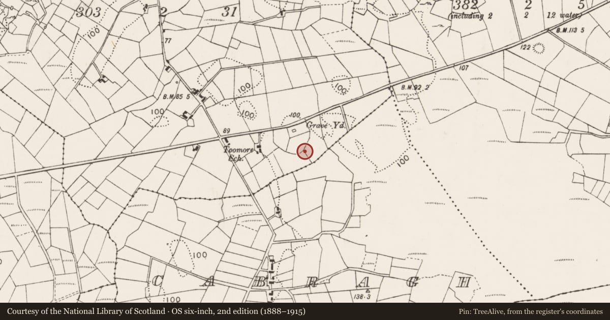 Ordnance Survey six-inch map, 2nd edition (1888–1915) covering the location of Bullaun stone, Toomore, County Mayo, with a pin at the register's coordinates