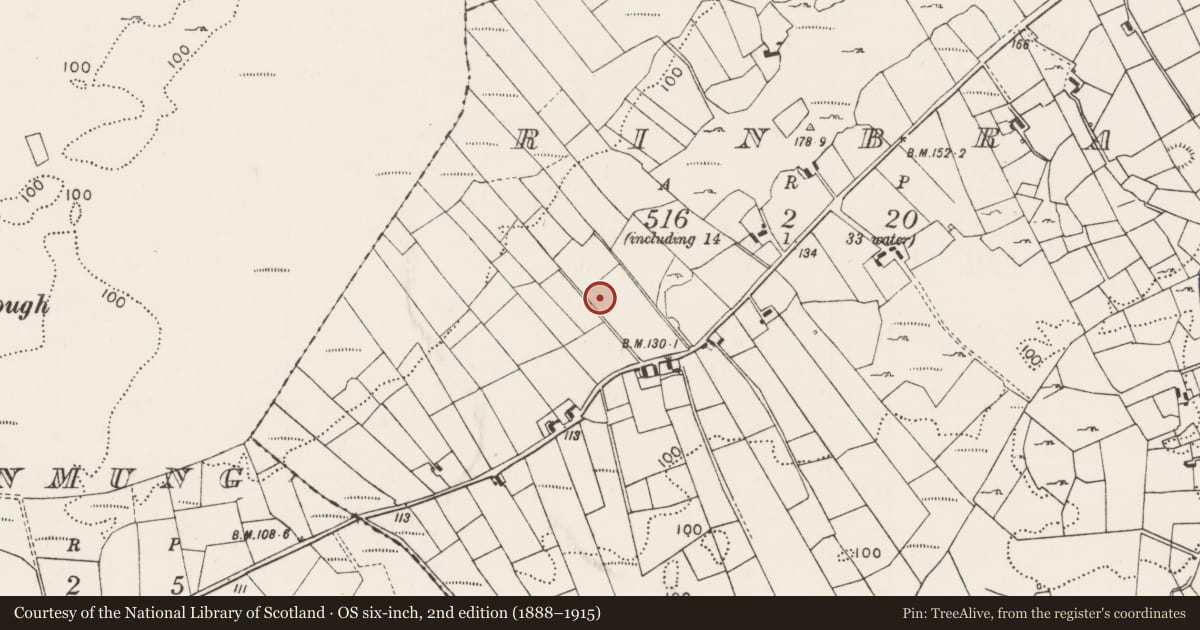 Ordnance Survey six-inch map, 2nd edition (1888–1915) covering the location of Ringfort - rath, Rinbrack, County Mayo, with a pin at the register's coordinates