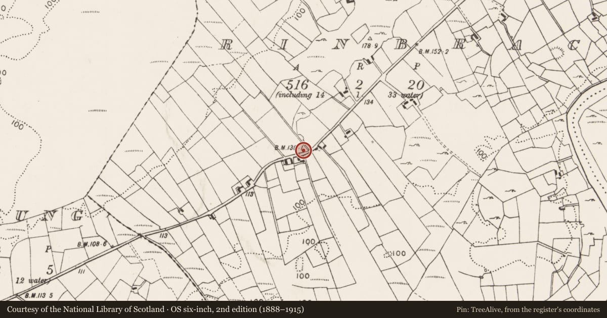 Ordnance Survey six-inch map, 2nd edition (1888–1915) covering the location of Standing stone, Rinbrack, County Mayo, with a pin at the register's coordinates