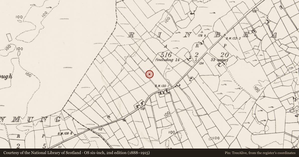 Ordnance Survey six-inch map, 2nd edition (1888–1915) covering the location of Souterrain, Rinbrack, County Mayo, with a pin at the register's coordinates