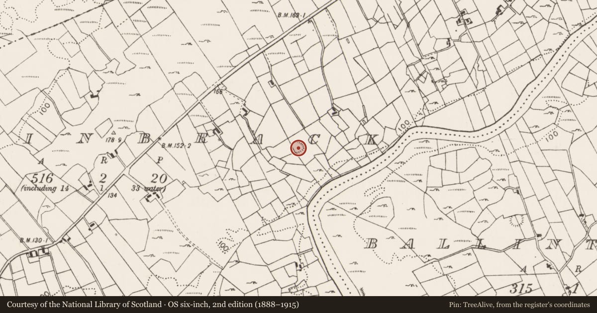 Ordnance Survey six-inch map, 2nd edition (1888–1915) covering the location of Souterrain, Rinbrack, County Mayo, with a pin at the register's coordinates