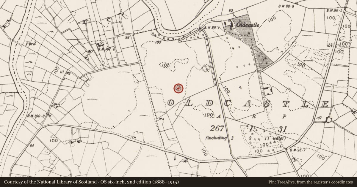 Ordnance Survey six-inch map, 2nd edition (1888–1915) covering the location of Enclosure, Oldcastle, County Mayo, with a pin at the register's coordinates