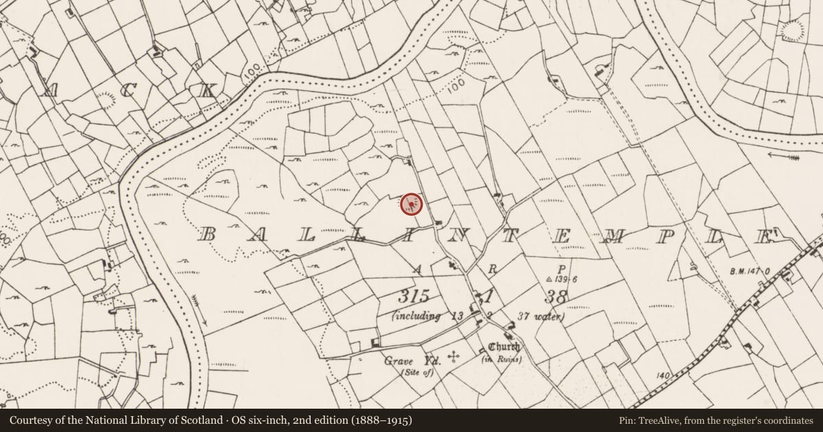 Ordnance Survey six-inch map, 2nd edition (1888–1915) covering the location of Ringfort - rath, Ballintemple, County Mayo, with a pin at the register's coordinates