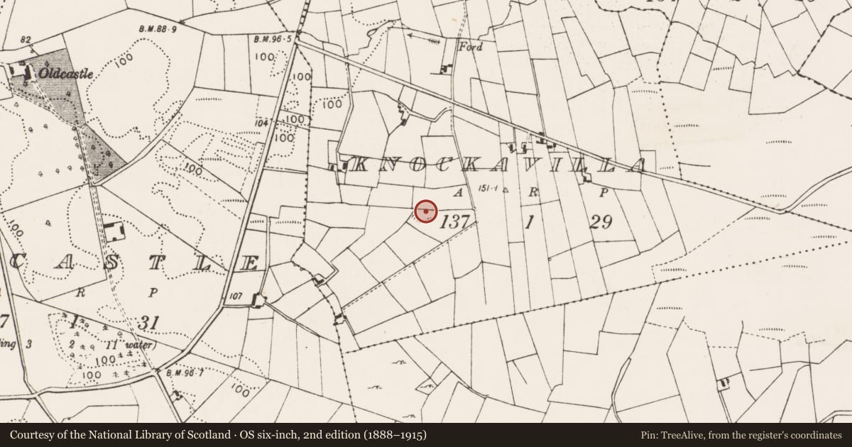Ordnance Survey six-inch map, 2nd edition (1888–1915) covering the location of Ringfort - unclassified, Knockavilla, County Mayo, with a pin at the register's coordinates
