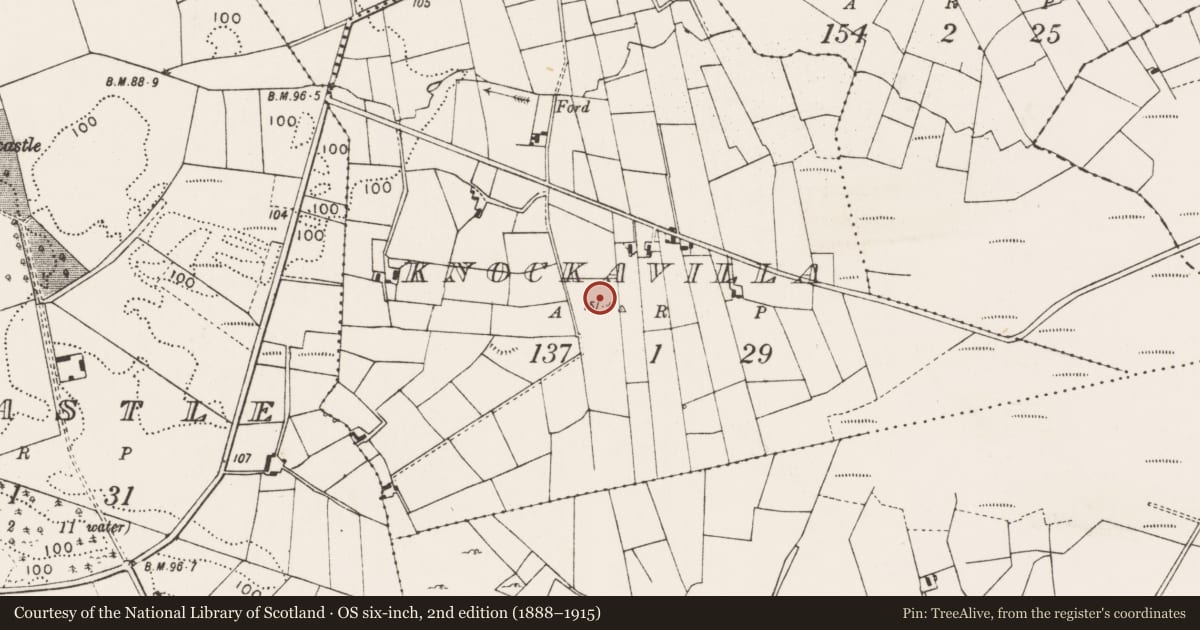 Ordnance Survey six-inch map, 2nd edition (1888–1915) covering the location of Ringfort - unclassified, Knockavilla, County Mayo, with a pin at the register's coordinates
