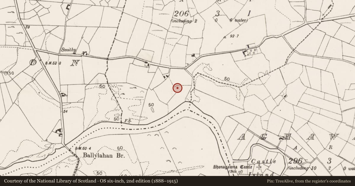 Ordnance Survey six-inch map, 2nd edition (1888–1915) covering the location of Ringfort - unclassified, Ballinillaun, County Mayo, with a pin at the register's coordinates