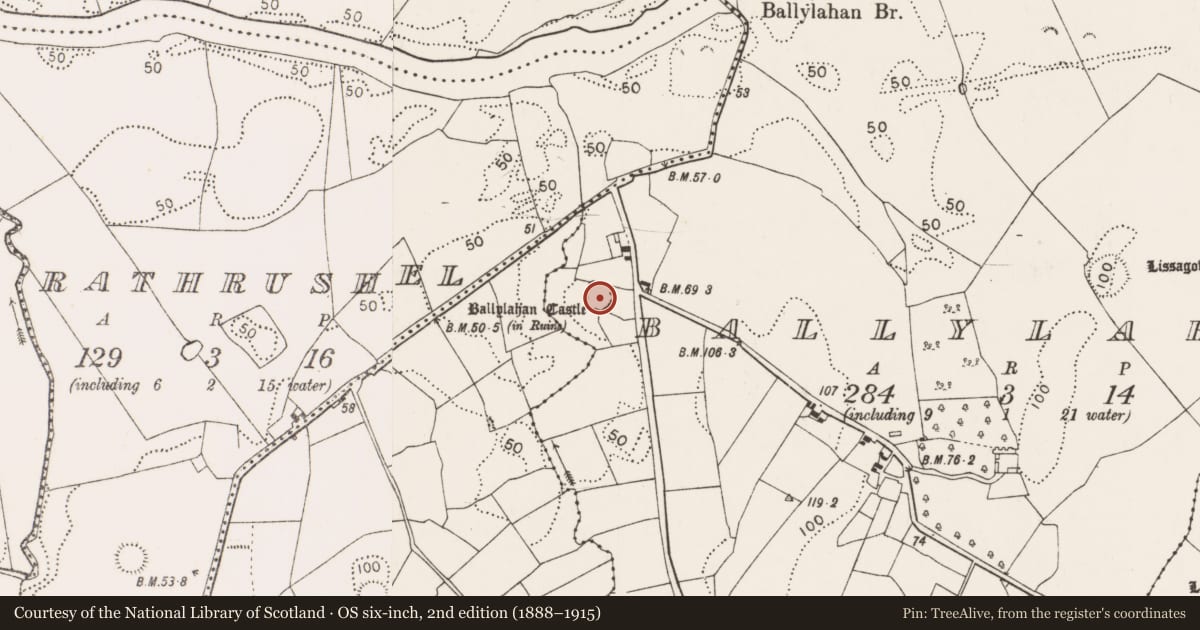 Ordnance Survey six-inch map, 2nd edition (1888–1915) covering the location of Castle - Anglo-Norman masonry castle, Ballylahan, County Mayo, with a pin at the register's coordinates