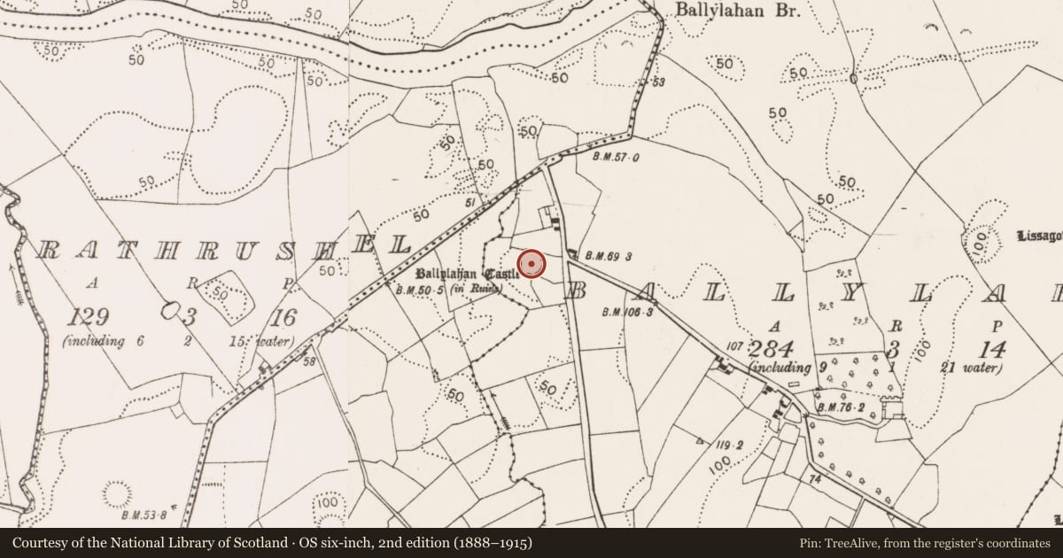 Ordnance Survey six-inch map, 2nd edition (1888–1915) covering the location of Settlement deserted - medieval, Ballylahan, County Mayo, with a pin at the register's coordinates