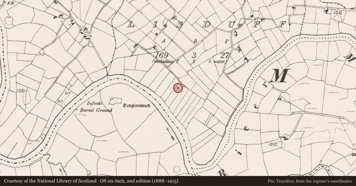 Ordnance Survey six-inch map, 2nd edition (1888–1915) covering the location of Ringfort - rath, Lisduff (Gallen By., Meelick Par.), County Mayo, with a pin at the register's coordinates