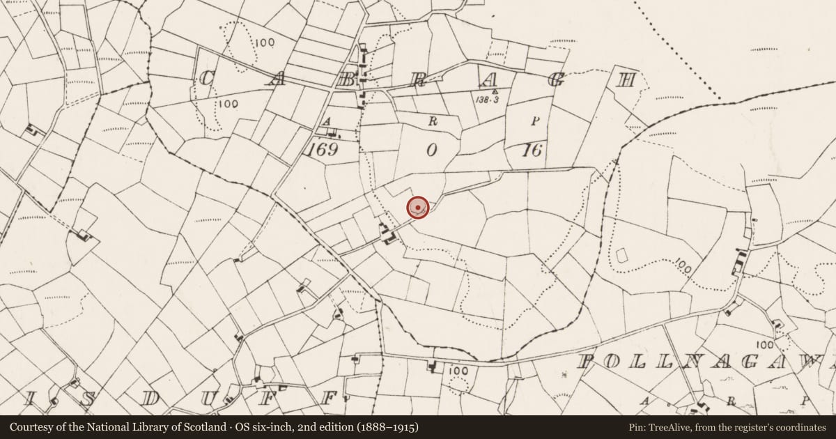 Ordnance Survey six-inch map, 2nd edition (1888–1915) covering the location of Ringfort - rath, Cabragh, County Mayo, with a pin at the register's coordinates