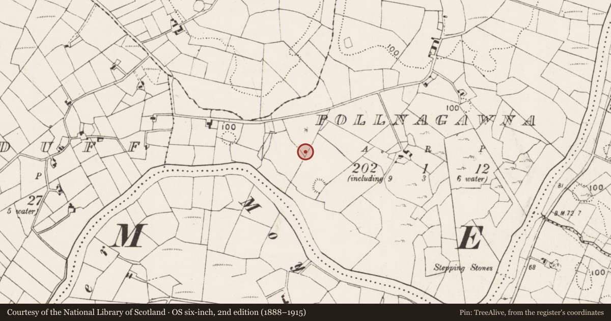 Ordnance Survey six-inch map, 2nd edition (1888–1915) covering the location of Ringfort - rath, Pollnagawna, County Mayo, with a pin at the register's coordinates
