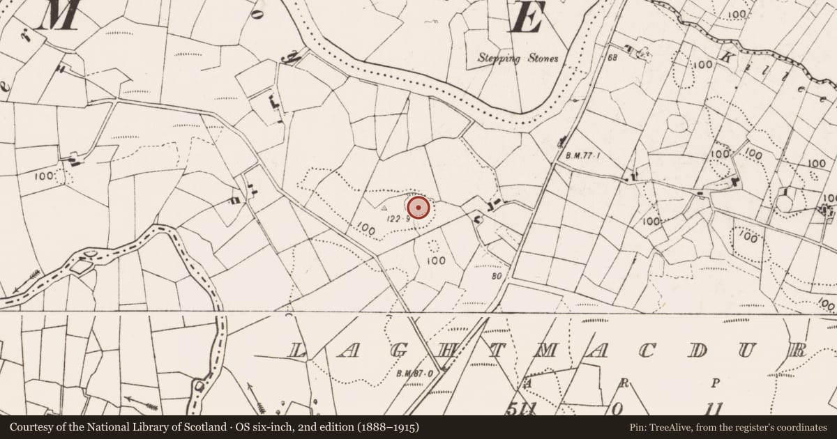 Ordnance Survey six-inch map, 2nd edition (1888–1915) covering the location of Ringfort - rath, Laghtmacdurkan, County Mayo, with a pin at the register's coordinates