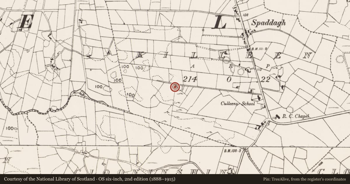 Ordnance Survey six-inch map, 2nd edition (1888–1915) covering the location of Enclosure, Killeen (Gallen By., Meelick Par.), County Mayo, with a pin at the register's coordinates