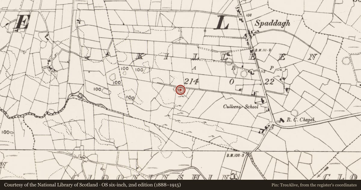 Ordnance Survey six-inch map, 2nd edition (1888–1915) covering the location of Enclosure, Killeen (Gallen By., Meelick Par.), County Mayo, with a pin at the register's coordinates