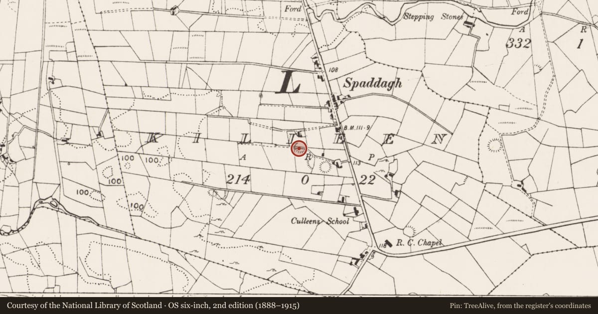 Ordnance Survey six-inch map, 2nd edition (1888–1915) covering the location of Enclosure, Killeen (Gallen By., Meelick Par.), County Mayo, with a pin at the register's coordinates