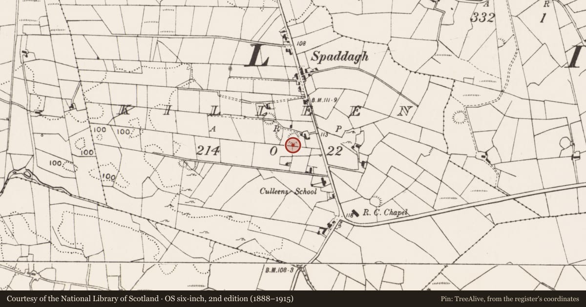 Ordnance Survey six-inch map, 2nd edition (1888–1915) covering the location of Enclosure, Killeen (Gallen By., Meelick Par.), County Mayo, with a pin at the register's coordinates