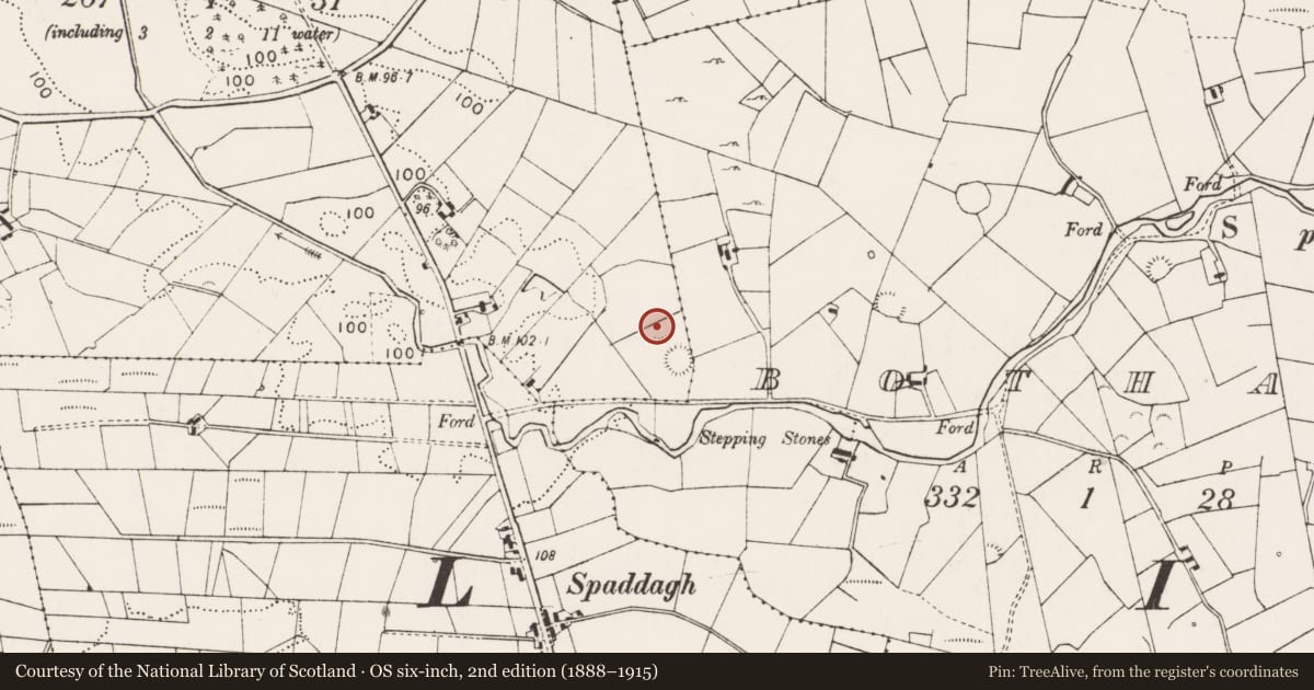 Ordnance Survey six-inch map, 2nd edition (1888–1915) covering the location of Enclosure, Oldcastle, County Mayo, with a pin at the register's coordinates