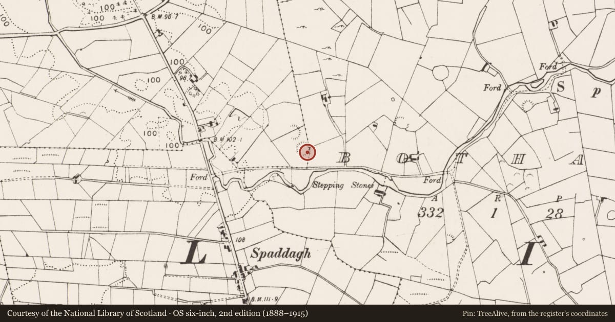 Ordnance Survey six-inch map, 2nd edition (1888–1915) covering the location of Enclosure, Oldcastle, County Mayo, with a pin at the register's coordinates