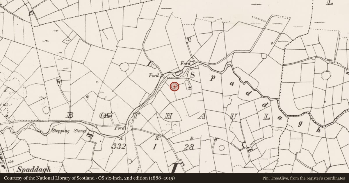 Ordnance Survey six-inch map, 2nd edition (1888–1915) covering the location of Ringfort - rath, Bothaul, County Mayo, with a pin at the register's coordinates