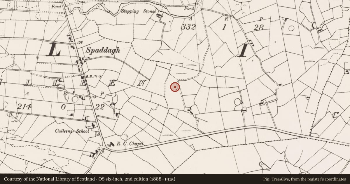 Ordnance Survey six-inch map, 2nd edition (1888–1915) covering the location of Ringfort - rath, Bothaul, County Mayo, with a pin at the register's coordinates