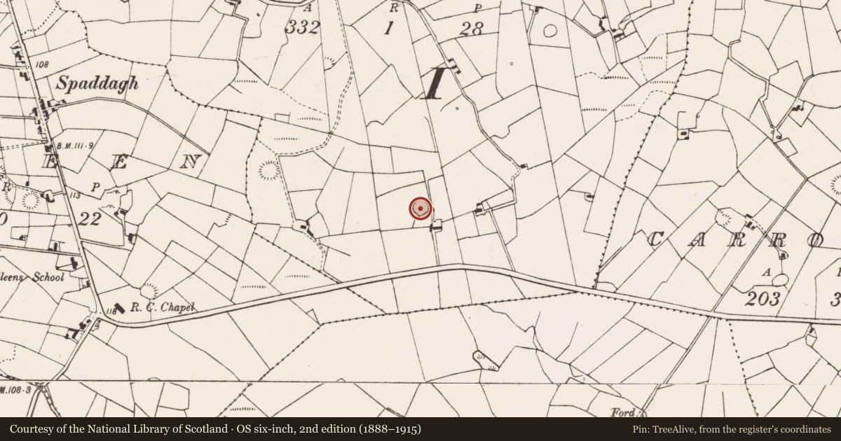 Ordnance Survey six-inch map, 2nd edition (1888–1915) covering the location of Ringfort - rath, Bothaul, County Mayo, with a pin at the register's coordinates