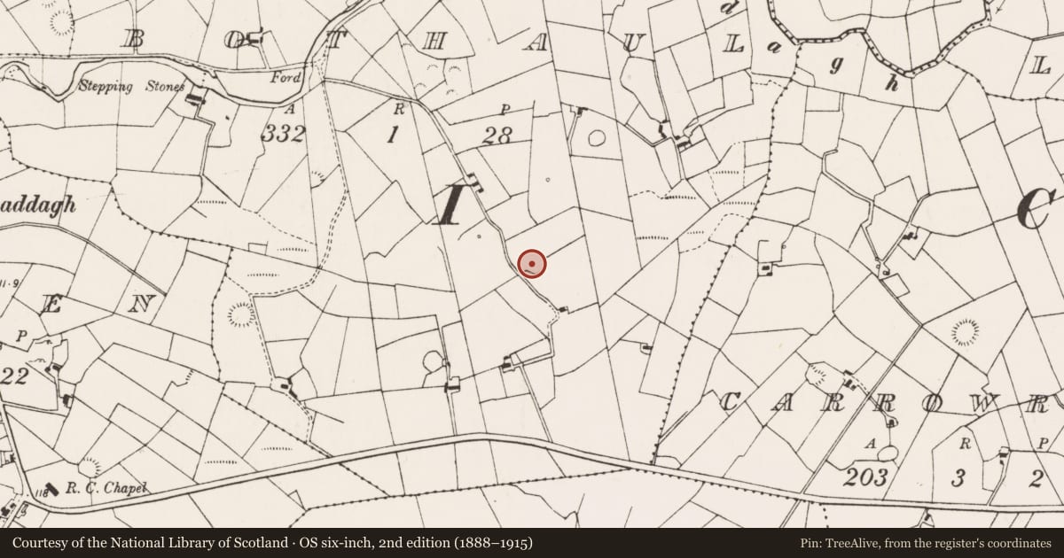 Ordnance Survey six-inch map, 2nd edition (1888–1915) covering the location of Ringfort - rath, Bothaul, County Mayo, with a pin at the register's coordinates